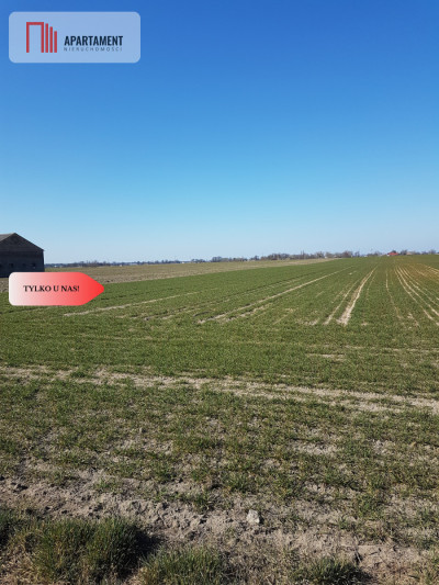 Tylko u Nas Działka w gm Dobrcz - Trzebień  -
Kujawsko-Pomorskie Zdjęcie nr 6