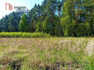 DZIAŁKA NEKLA - SUPER LOKALIZACJA ŚCIANA LASU - powiat bydgoski  - Kujawsko-Pomorskie