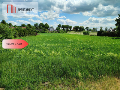 Działka usług-mieszkaniowa przy asfalcie  MEDIA - powiat nakielski  -
Kujawsko-Pomorskie Zdjęcie nr 6