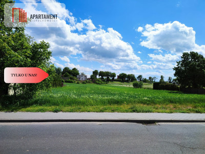 Działka usług-mieszkaniowa przy asfalcie  MEDIA - powiat nakielski  -
Kujawsko-Pomorskie Zdjęcie nr 7