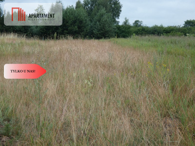 Działka przy rzece i jeziorach - Tylko u nas  - Rogowo  -
Kujawsko-Pomorskie Zdjęcie nr 10