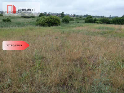 Działka przy rzece i jeziorach - Tylko u nas  - Rogowo  -
Kujawsko-Pomorskie Zdjęcie nr 11