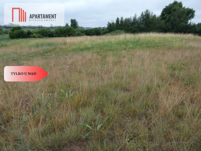 Działka przy rzece i jeziorach - Tylko u nas  - Rogowo  -
Kujawsko-Pomorskie Zdjęcie nr 12