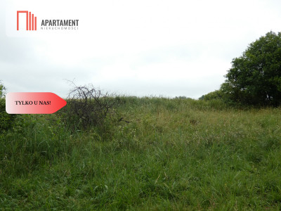 Działka przy rzece i jeziorach - Tylko u nas  - Rogowo  -
Kujawsko-Pomorskie Zdjęcie nr 14