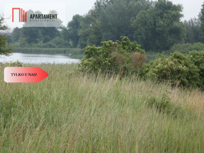 Działka przy rzece i jeziorach - Tylko u nas  - Rogowo  -
Kujawsko-Pomorskie Zdjęcie nr 2