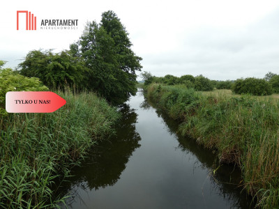 Działka przy rzece i jeziorach - Tylko u nas  - Rogowo  -
Kujawsko-Pomorskie Zdjęcie nr 4