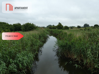 Działka przy rzece i jeziorach - Tylko u nas  - Rogowo  -
Kujawsko-Pomorskie Zdjęcie nr 5