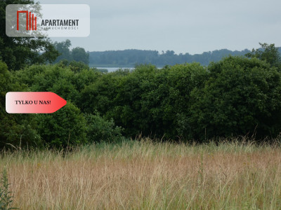 Działka przy rzece i jeziorach - Tylko u nas  - Rogowo  -
Kujawsko-Pomorskie Zdjęcie nr 6