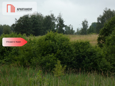 Działka przy rzece i jeziorach - Tylko u nas  - Rogowo  -
Kujawsko-Pomorskie Zdjęcie nr 7