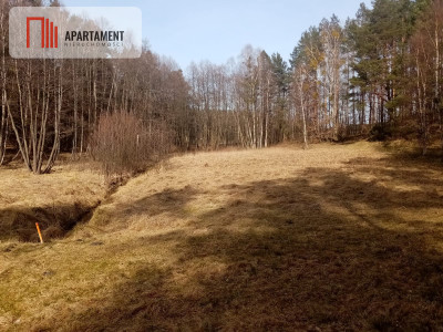 Działka nad jeziorem z własnym strumykiem - powiat chojnicki  -
Pomorskie Zdjęcie nr 11