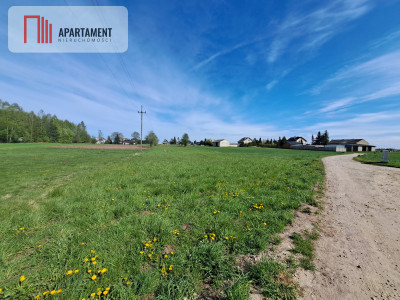 Działka nad jeziorem z własnym strumykiem - powiat chojnicki  -
Pomorskie Zdjęcie nr 4