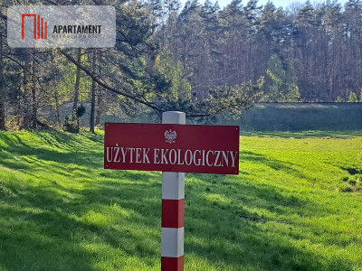 Działka nad jeziorem z własnym strumykiem - powiat chojnicki  -
Pomorskie Zdjęcie nr 5