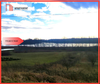 Tylko u nas Duża Działka Z Dostępem do Jeziora - Ostrowite  - Kujawsko-Pomorskie