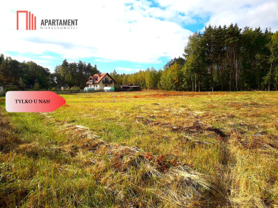 TYLKO U NAS  TOPORZYSKO 800 m2 SUPER LOKALIZACA - powiat toruński  -
Kujawsko-Pomorskie Zdjęcie nr 2