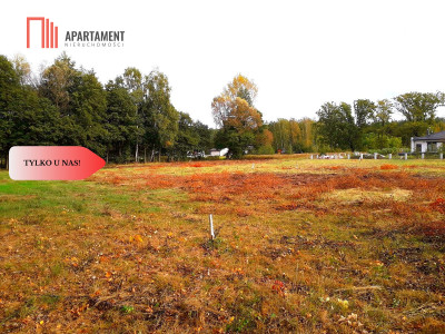 TYLKO U NAS  TOPORZYSKO 1000 m2 - LAS ICISZA - powiat toruński  -
Kujawsko-Pomorskie Zdjęcie nr 11
