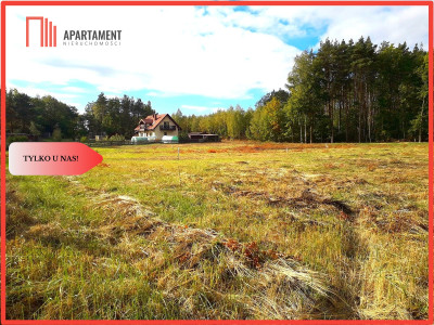 TYLKO U NAS  TOPORZYSKO 1000 m2 - LAS ICISZA - powiat toruński  - Kujawsko-Pomorskie