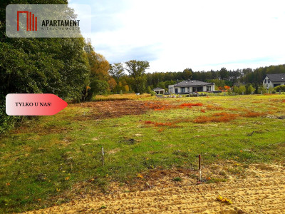 TYLKO U NAS  TOPORZYSKO 1000 m2 - LAS ICISZA - powiat toruński  -
Kujawsko-Pomorskie Zdjęcie nr 2