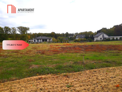 TYLKO U NAS  TOPORZYSKO 1000 m2 - LAS ICISZA - powiat toruński  -
Kujawsko-Pomorskie Zdjęcie nr 3