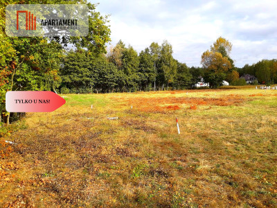 TYLKO U NAS  TOPORZYSKO 1000 m2 - LAS ICISZA - powiat toruński  -
Kujawsko-Pomorskie Zdjęcie nr 5