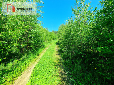 Tylko u Nas Działka wśród brzózek Piękne miejsce - powiat świecki  - Kujawsko-Pomorskie