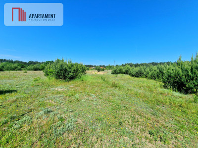 Działka na obrzeżach Tlenia - spokojne miejsce - powiat świecki  -
Kujawsko-Pomorskie Zdjęcie nr 5