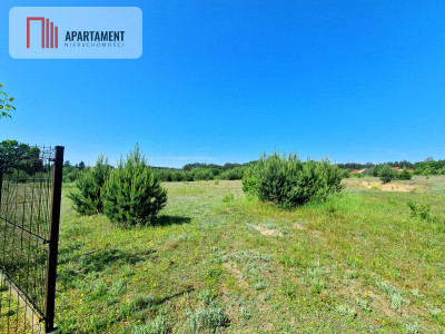 Działka na obrzeżach Tlenia - spokojne miejsce - powiat świecki  -
Kujawsko-Pomorskie Zdjęcie nr 7