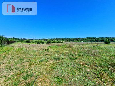 Działka na obrzeżach Tlenia - spokojne miejsce - powiat świecki  -
Kujawsko-Pomorskie Zdjęcie nr 8