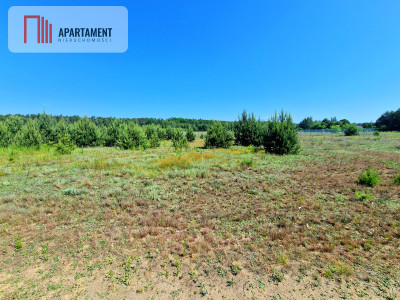 Działka na obrzeżach Tlenia - spokojne miejsce - powiat świecki  -
Kujawsko-Pomorskie Zdjęcie nr 9