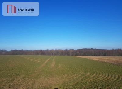 DZIAŁKA BUDOWLANA tereny w okolicy Natura 2000 - powiat bydgoski  - Kujawsko-Pomorskie