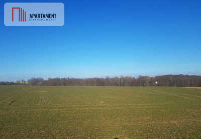 DZIAŁKA BUDOWLANA tereny w okolicy Natura 2000 - powiat bydgoski  -
Kujawsko-Pomorskie Zdjęcie nr 2