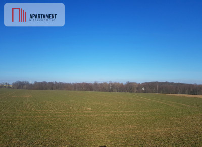 DZIAŁKA BUDOWLANA tereny w okolicy Natura 2000 - powiat bydgoski  -
Kujawsko-Pomorskie Zdjęcie nr 3