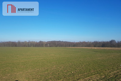 DZIAŁKA BUDOWLANA tereny w okolicy Natura 2000 - powiat bydgoski  -
Kujawsko-Pomorskie Zdjęcie nr 4