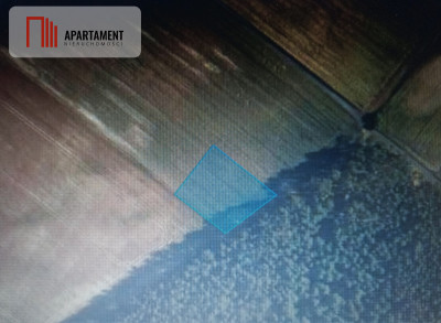 Piękna spokojna okolica ze ścianą lasu - Borówno  -
Kujawsko-Pomorskie Zdjęcie nr 2