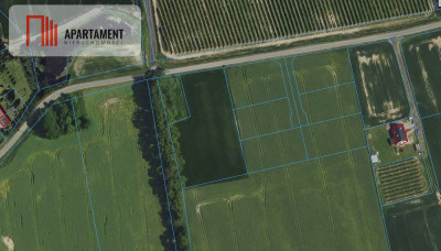 Spokojna lokalizacja Dojazd drogą asfaltową - powiat bydgoski  -
Kujawsko-Pomorskie Zdjęcie nr 2