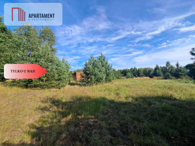 Wyjątkowa cena Blisko natury i dzwięku ptaków - powiat chojnicki  -
Pomorskie Zdjęcie nr 2