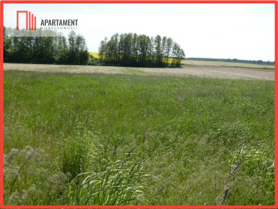 Działki budowlane z warunkami zabudowy - Rogowo  - Kujawsko-Pomorskie