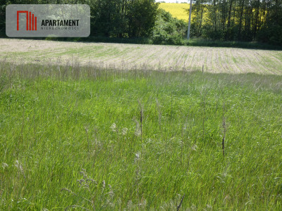 Działki budowlane z warunkami zabudowy - Rogowo  -
Kujawsko-Pomorskie Zdjęcie nr 2