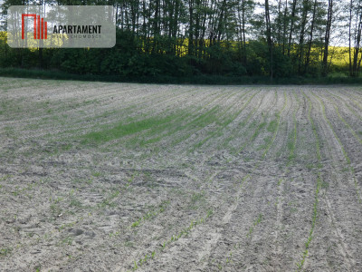 Działki budowlane z warunkami zabudowy - Rogowo  -
Kujawsko-Pomorskie Zdjęcie nr 5