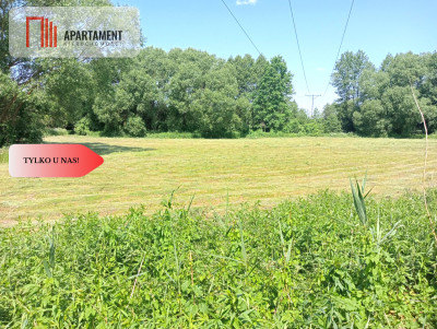 Dzialka z możliwością zabudowy na WZ - Czarne Błoto  -
Kujawsko-Pomorskie Zdjęcie nr 2