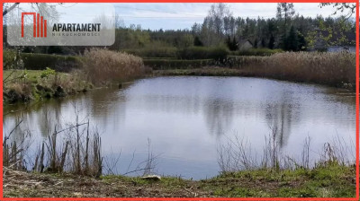 Piękna działka ze stawem - Kruszyn Krajeński  - Kujawsko-Pomorskie