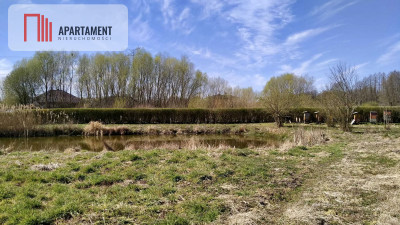 Piękna działka ze stawem - Kruszyn Krajeński  -
Kujawsko-Pomorskie Zdjęcie nr 4