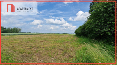 Działki w Wiewiórczynie - Wiewiórczyn  - Kujawsko-Pomorskie