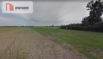 Działki w Wiewiórczynie - Wiewiórczyn  -
Kujawsko-Pomorskie Zdjęcie nr 5