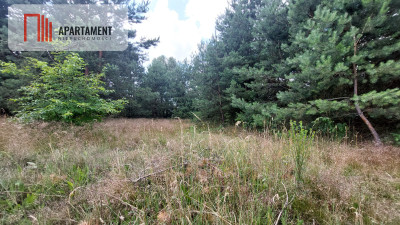 Piękne działki - Skórka - powiat złotowski  -
Wielkopolskie Zdjęcie nr 3