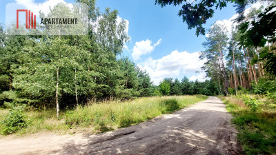 Piękne działki - Skórka - powiat złotowski  -
Wielkopolskie Zdjęcie nr 8