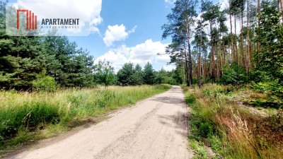 Piękne działki - Skórka - powiat złotowski  -
Wielkopolskie Zdjęcie nr 9