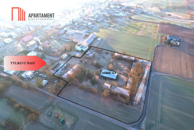 TYLKO U NAS DZIAŁKA PRODUKCYJNO-INWESTYCYJNA - Lubiewo  -
Kujawsko-Pomorskie Zdjęcie nr 3