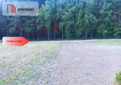 TYLKO U NAS  PIĘKNA OTULONA LASEM I CSZĄ - Lubiewice  - Kujawsko-Pomorskie