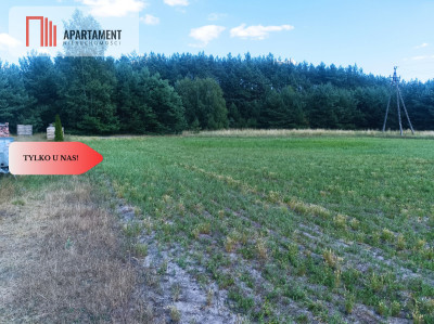 TYLKO U NAS  PIĘKNA OTULONA LASEM I CSZĄ - Lubiewice  -
Kujawsko-Pomorskie Zdjęcie nr 3