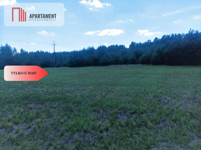 TYLKO U NAS  PIĘKNA OTULONA LASEM I CSZĄ - Lubiewice  -
Kujawsko-Pomorskie Zdjęcie nr 4